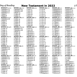 Study guide for new testament