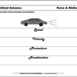 Worksheet on speed and velocity