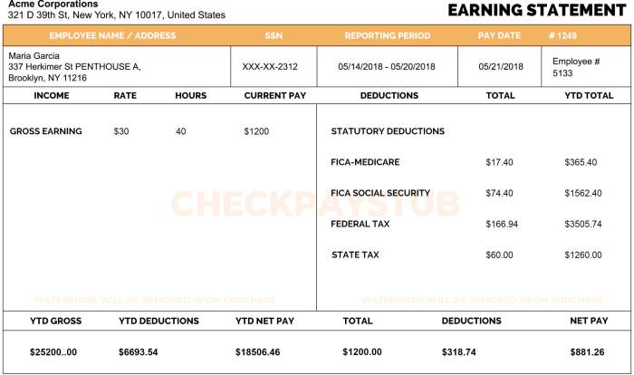 How to read a pay stub worksheet