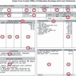 How to read a pay stub worksheet