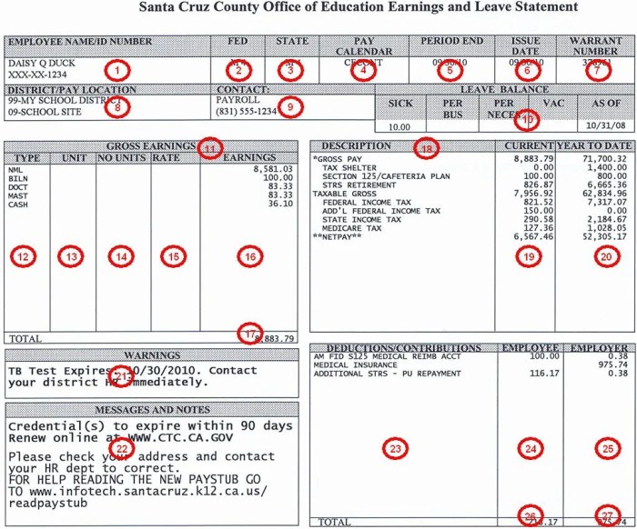 How to read a pay stub worksheet