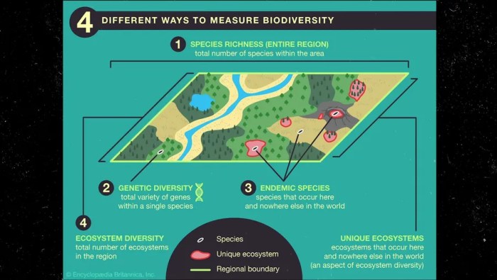 Simpson's diversity index measuring biodiversity answer key